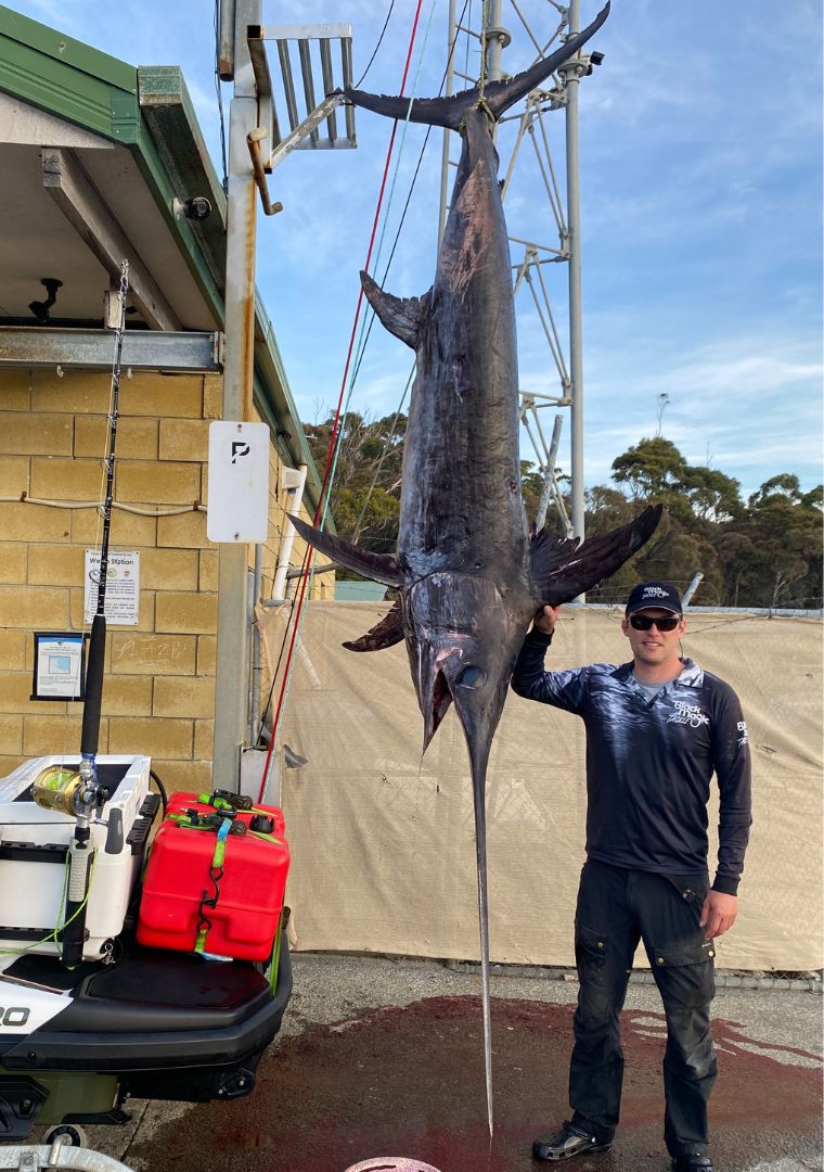 132kg Swordfish